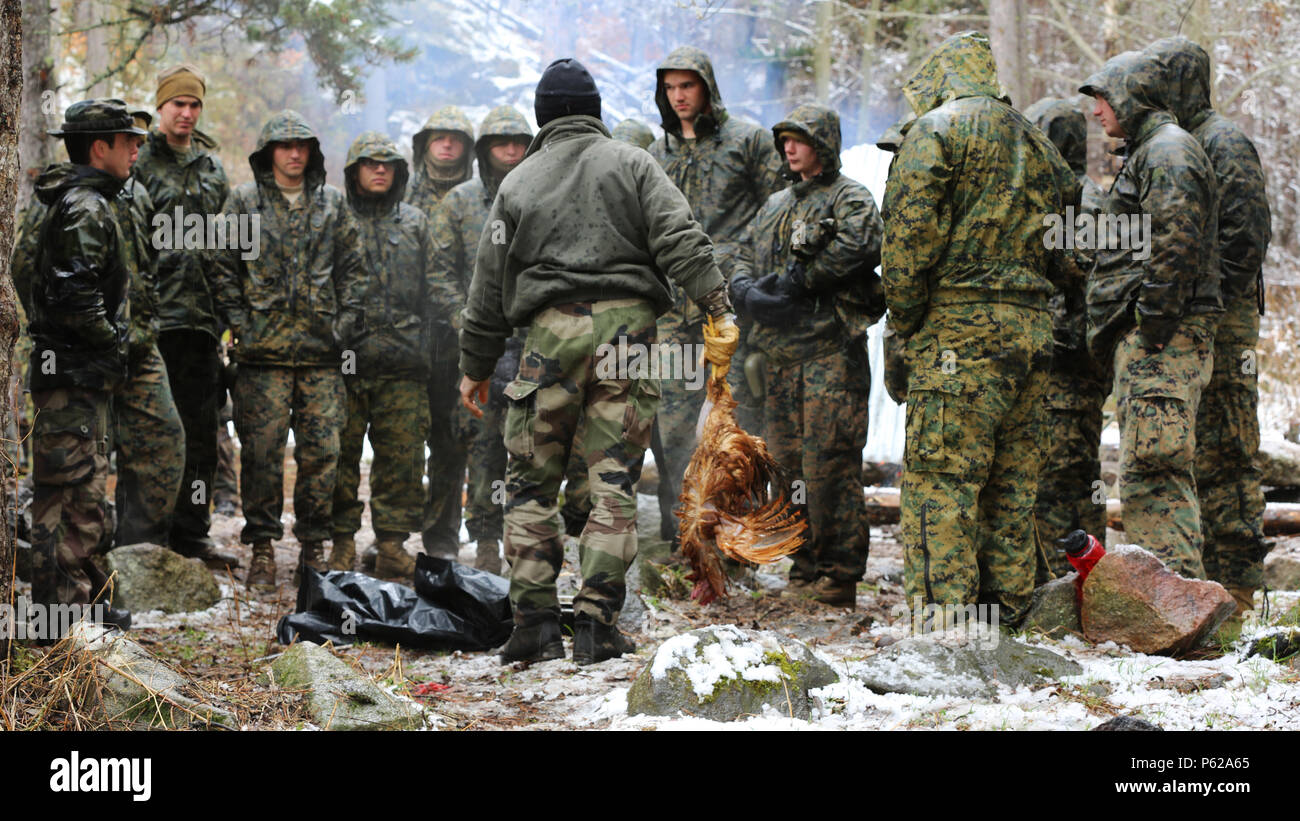 Výsledok vyhľadávania obrázkov pre dopyt centre national d'entrainement commando 