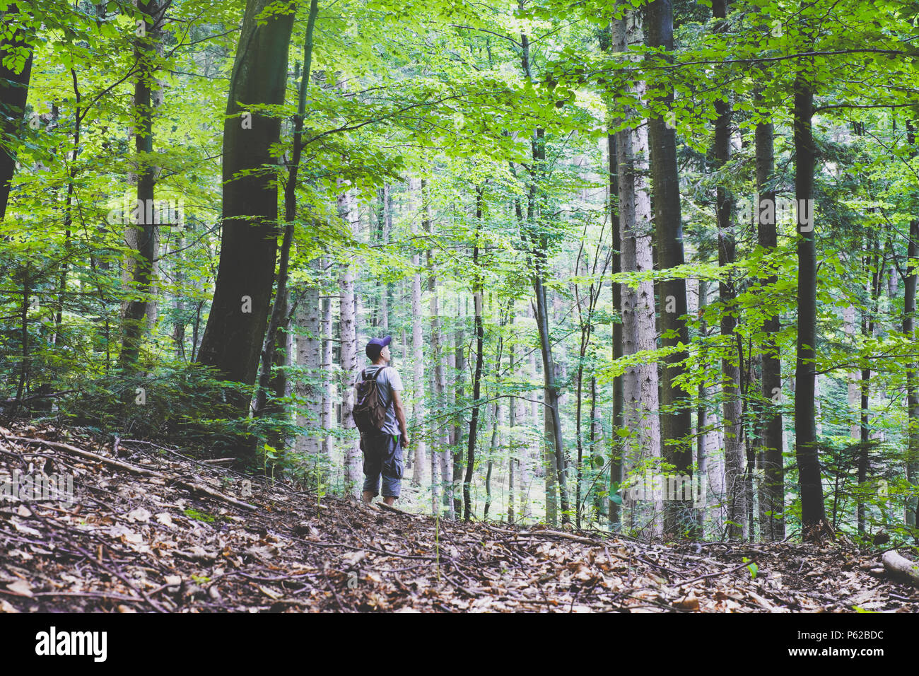 Alone man in wild forest Stock Photo