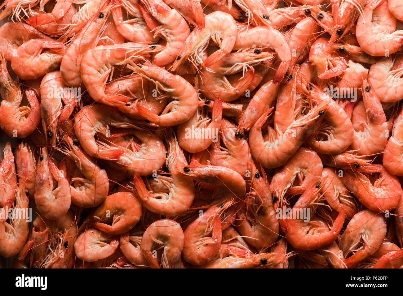Big boiled shrimps close up Stock Photo