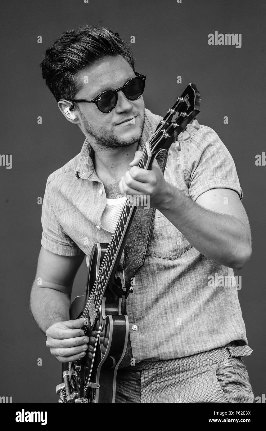 Niall Horan Black And White Guitar