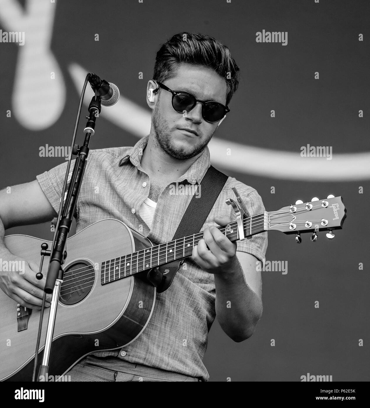 Niall Horan Black And White Guitar