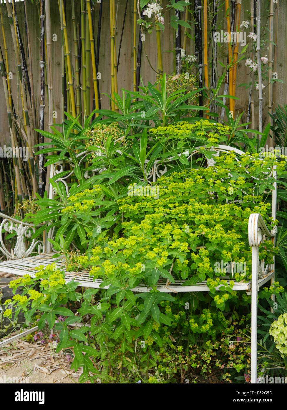 Ornate garden bench hires stock photography and images Alamy