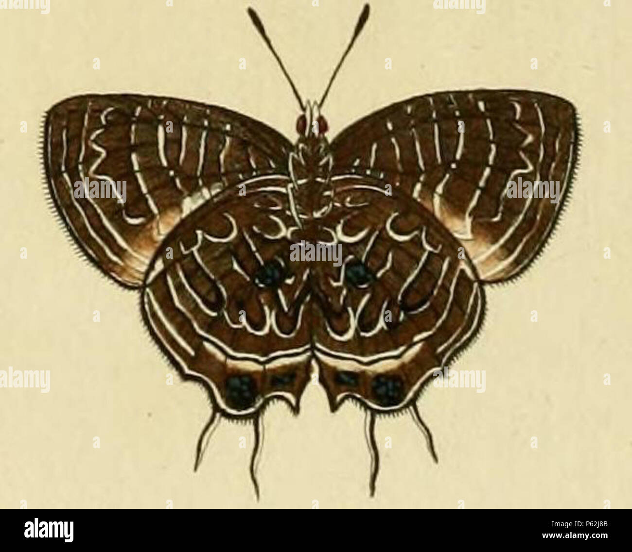 Caspar stoll between hires stock photography and images Alamy