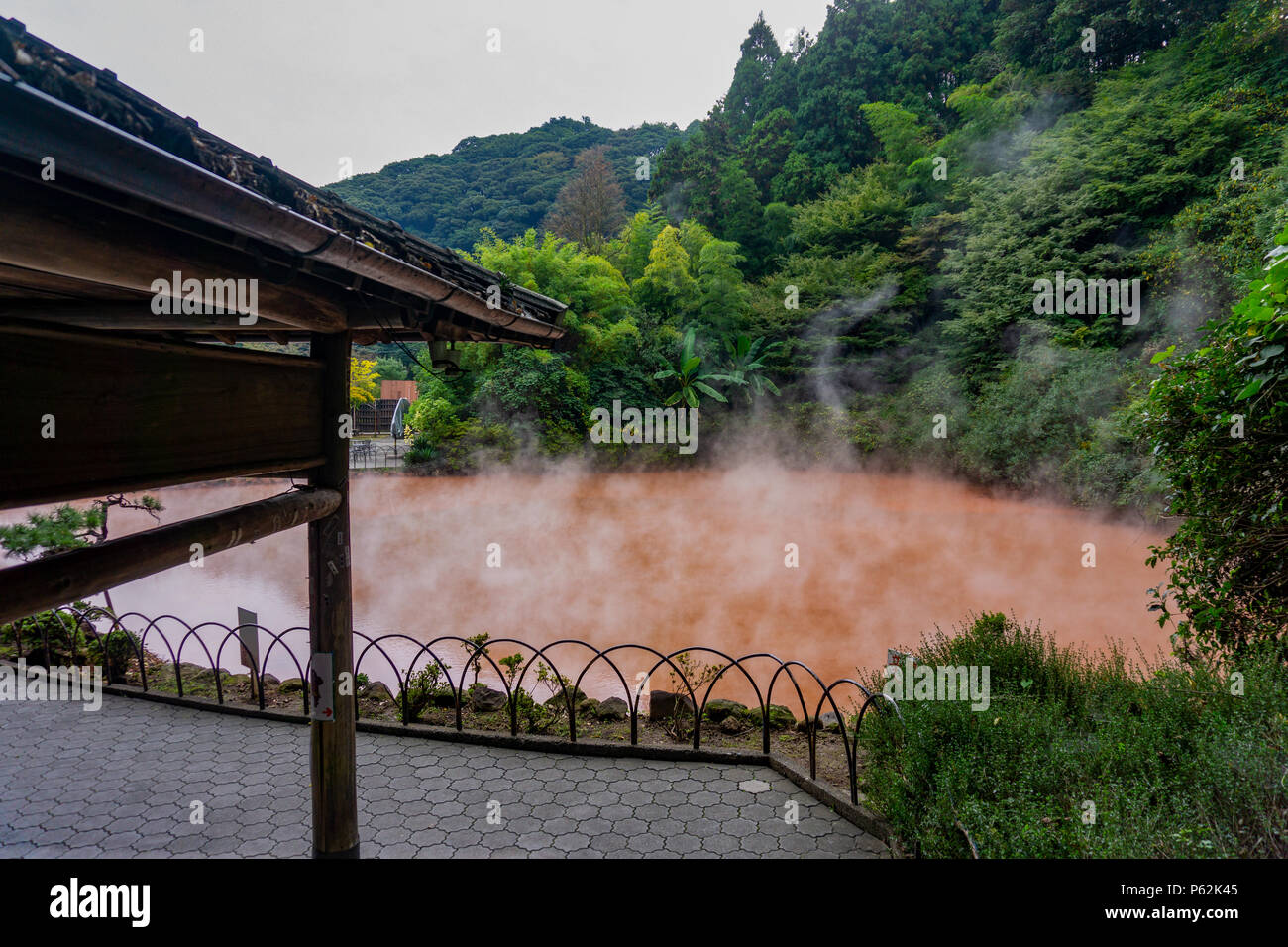 Beppu gay japan oita Tiny brazilian shemale