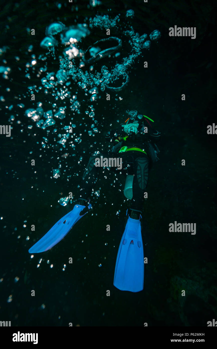 The scuba diver blows the air rings Stock Photo Alamy