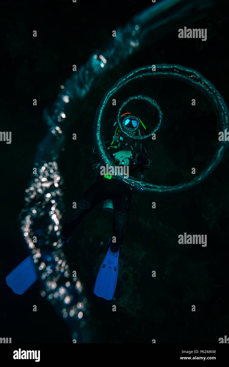 The scuba diver blows the air rings Stock Photo Alamy