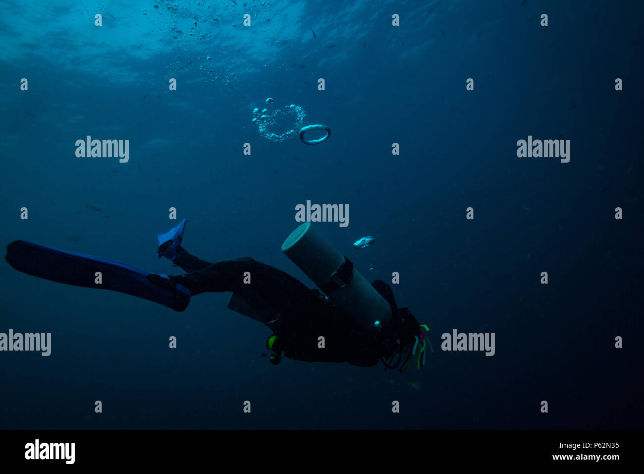 Scubadiver in a sidemount configuration of equipment Stock Photo - Alamy