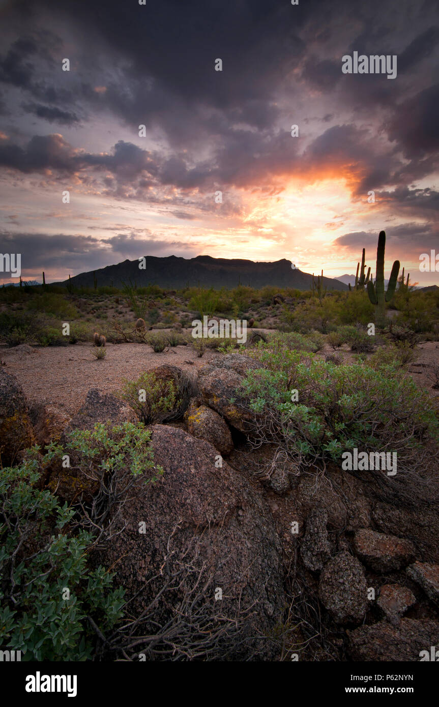 Sunrise over the Sonoran Desert at Usery Mountain Regional Park in Mesa