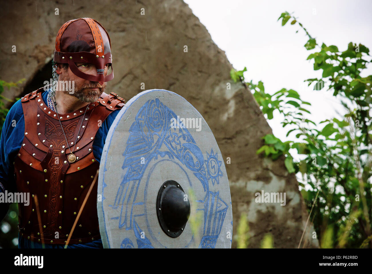 Celtic warrior illustration hi-res stock photography and images - Alamy