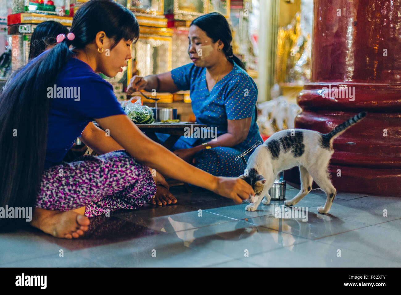 Yangon, Myanmar - FEB 19th 2014: Burmese family eating with cat at the entrance of Shwedagon Pagoda Stock Photo