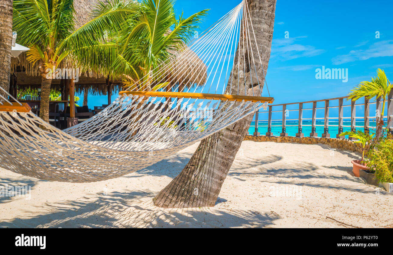 Hammock on tropical beach Stock Photo - Alamy