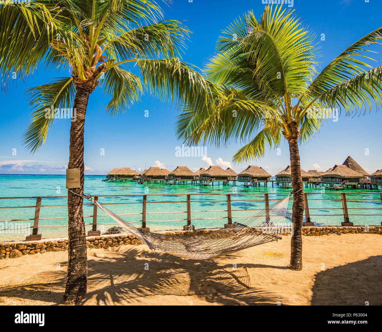 Hammock between palm trees on the beach of tropical summer vacation. Stock Photo