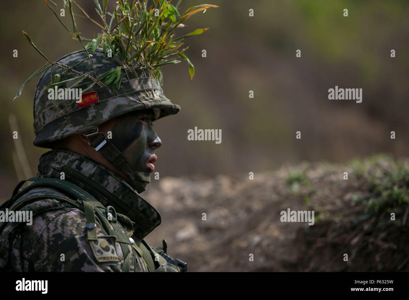 Republic of Korea Marines conducted a live-fire platoon attack exercise ...