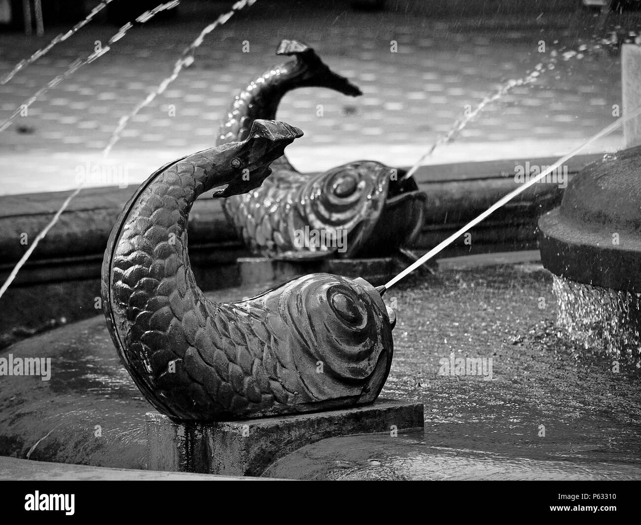Bronze fish statues at The Fish Fountain in Victory Square, Timisoara, Timis County, Romania Stock Photo