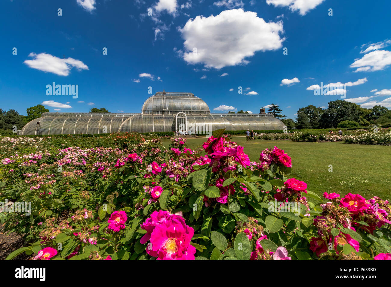 The Palm House and Rose garden at The Royal Botanic Gardens, Kew Stock Photo