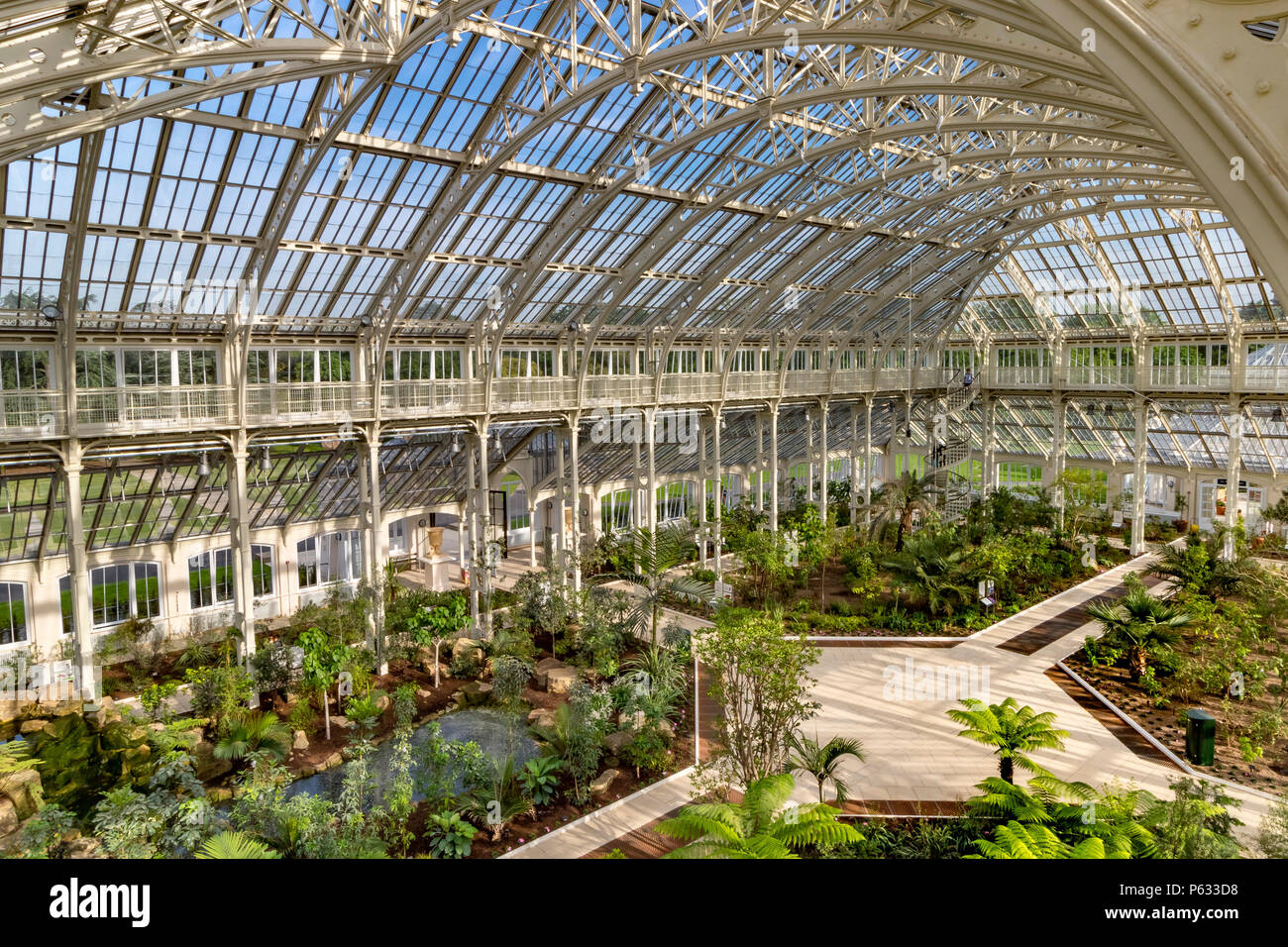 After a 5 year restoration, the newly restored Temperate House at The Royal Botanic Gardens, Kew in London has reopened to visitors . Stock Photo