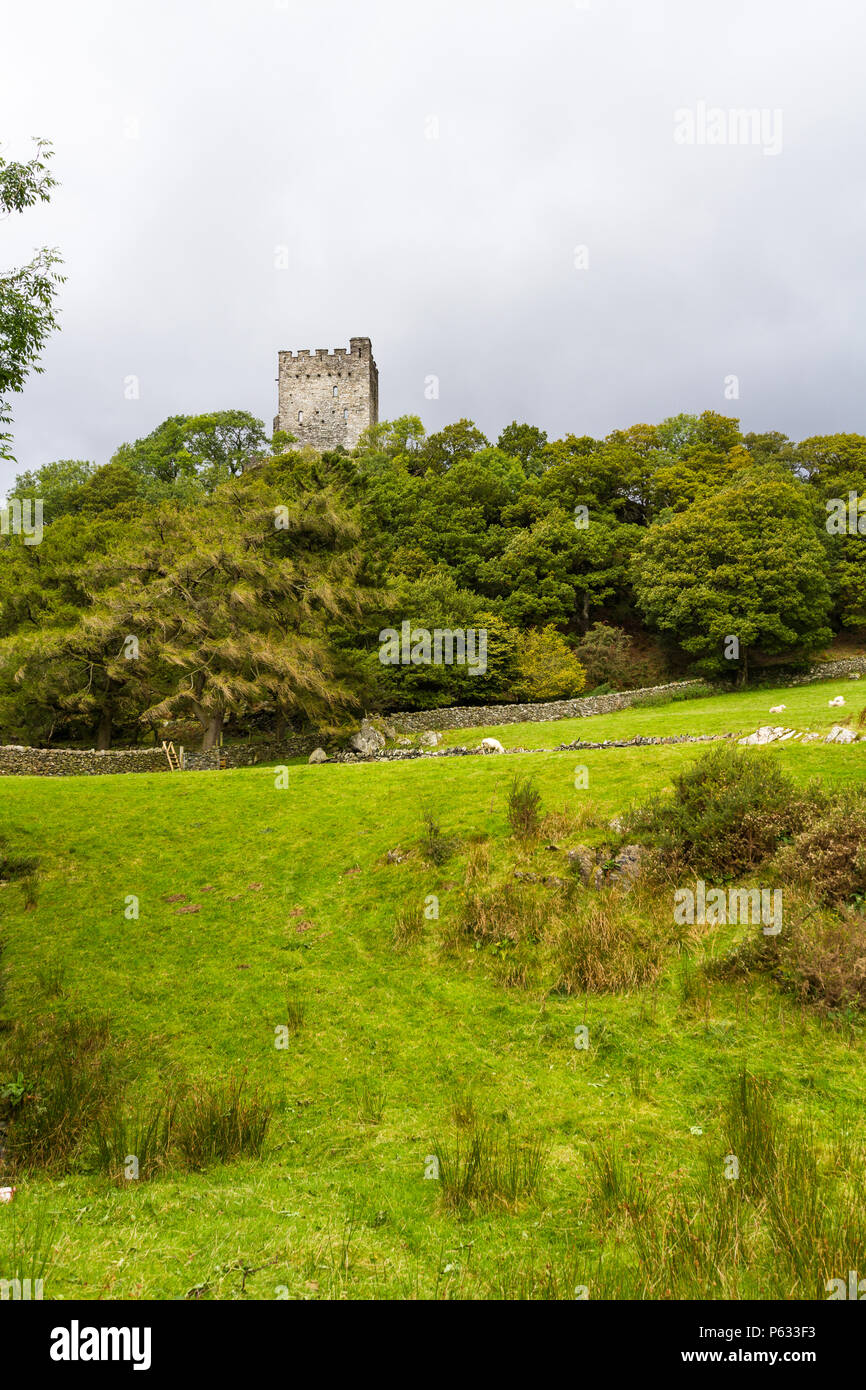 Castle or Castell Dolwyddelan from distance with fields in foreground, copyspace. Stock Photo