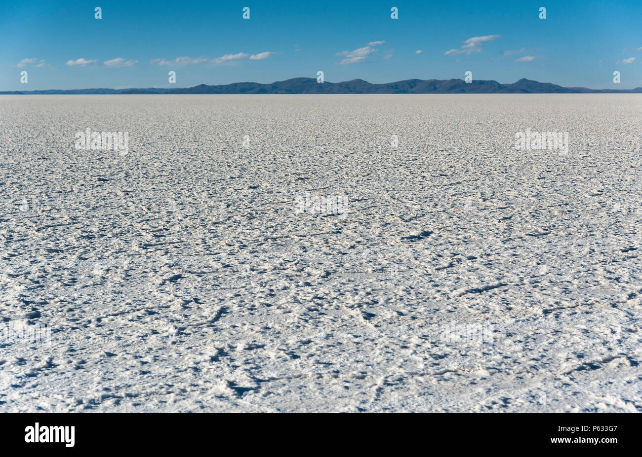 largest salt flats in the world