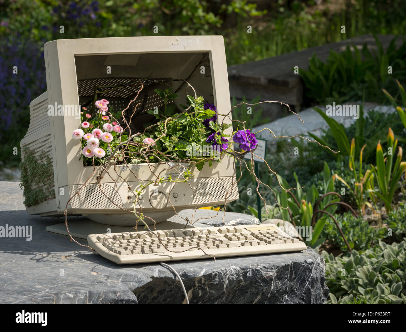 Computer screen and keyboard used as decoration in a garden with