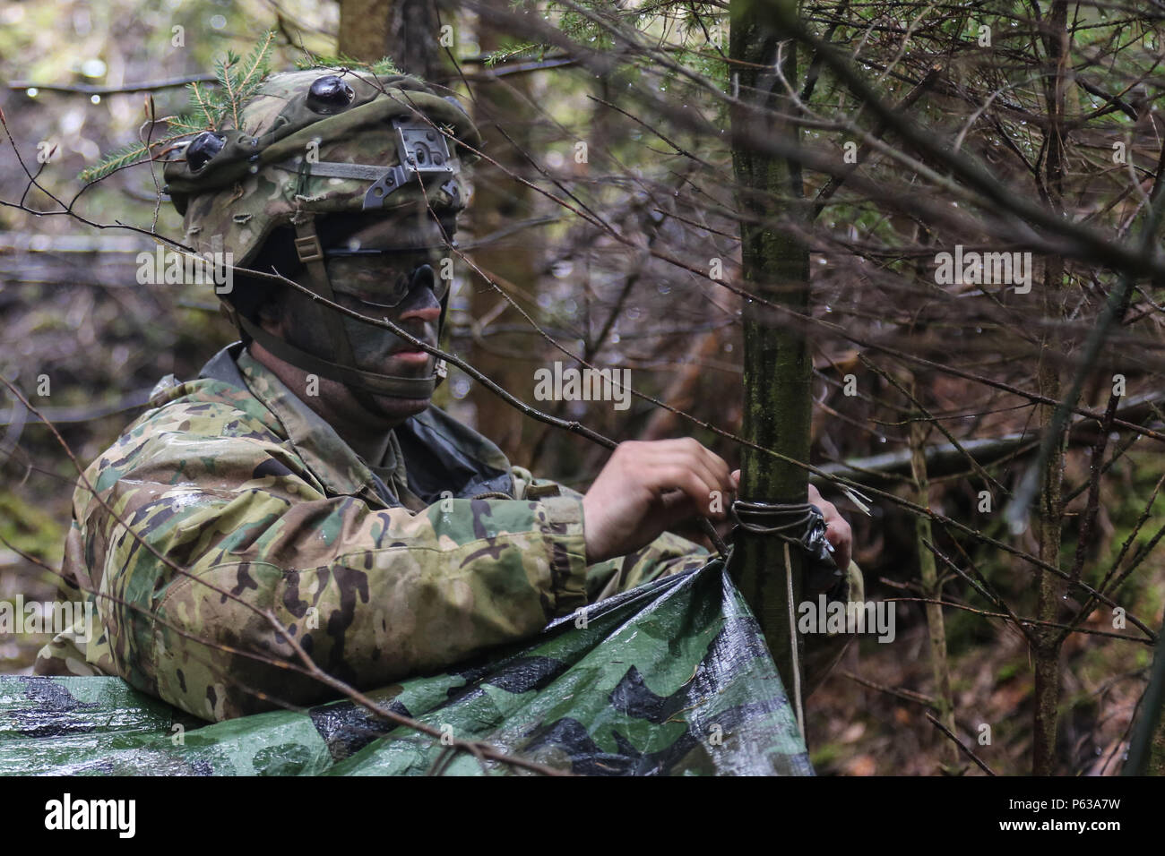 A U.S. Soldier of 2nd Battalion, 503rd Infantry Regiment, 173rd Airborne Brigade secures a weather resistant tarp while conducting defensive operations during exercise Saber Junction 16 at the U.S. Army’s Joint Multinational Readiness Center (JMRC) in Hohenfels, Germany, April 15, 2016. Saber Junction 16 is the U.S. Army Europe’s 173rd Airborne Brigade’s combat training center certification exercise, taking place at the JMRC in Hohenfels, Germany, Mar. 31-Apr. 24, 2016.  The exercise is designed to evaluate the readiness of the Army’s Europe-based combat brigades to conduct unified land operat Stock Photo