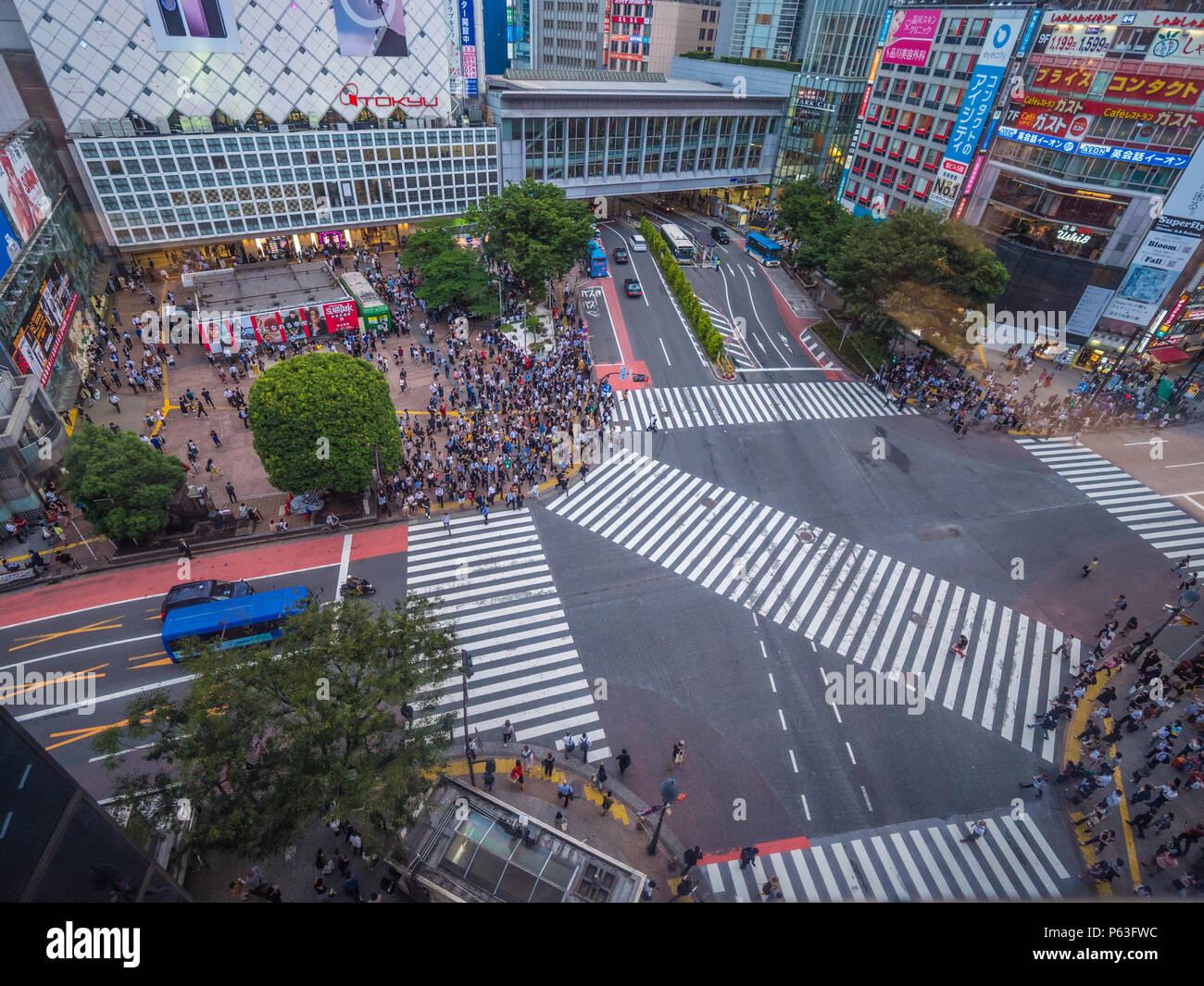 Famous Shibuya Crossing in Tokyo - aerial view - TOKYO / JAPAN - JUNE ...
