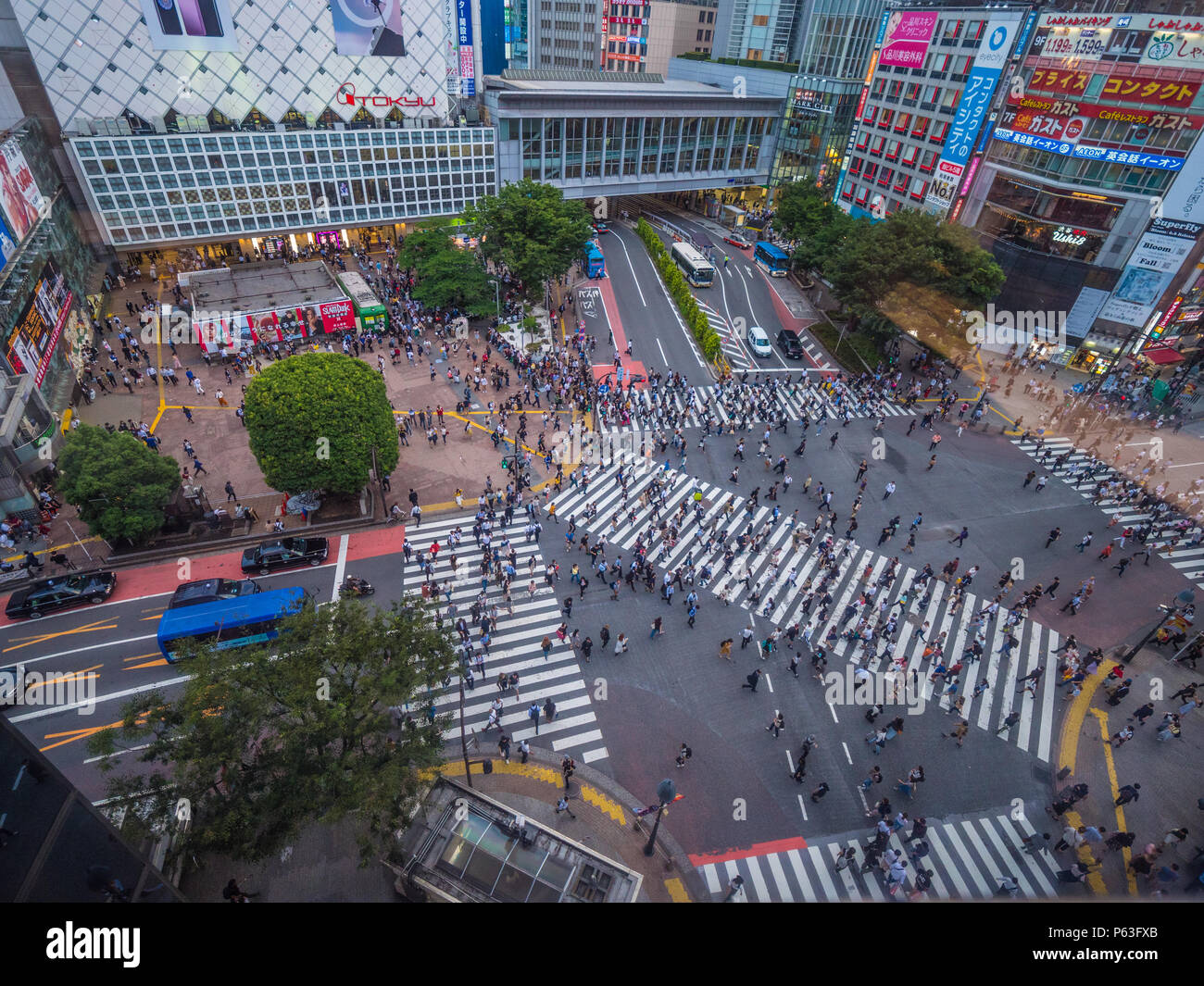 Famous Shibuya Crossing in Tokyo - aerial view - TOKYO / JAPAN - JUNE ...