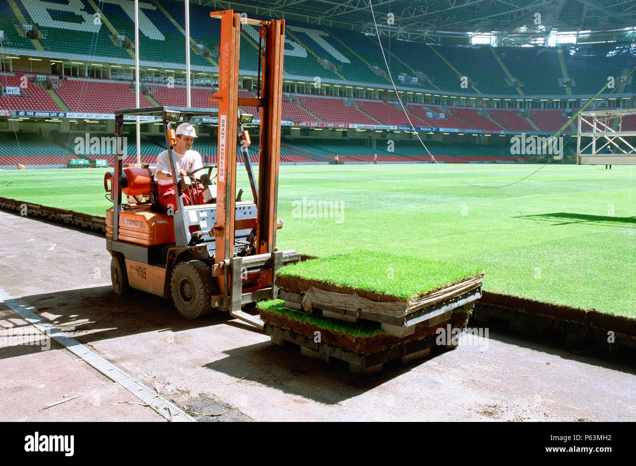 Cardiff Millennium Stadium. The turf for the pitch is on pallet units allowing quick removal for maintenance or for converting the stadium for arena e Stock Photo