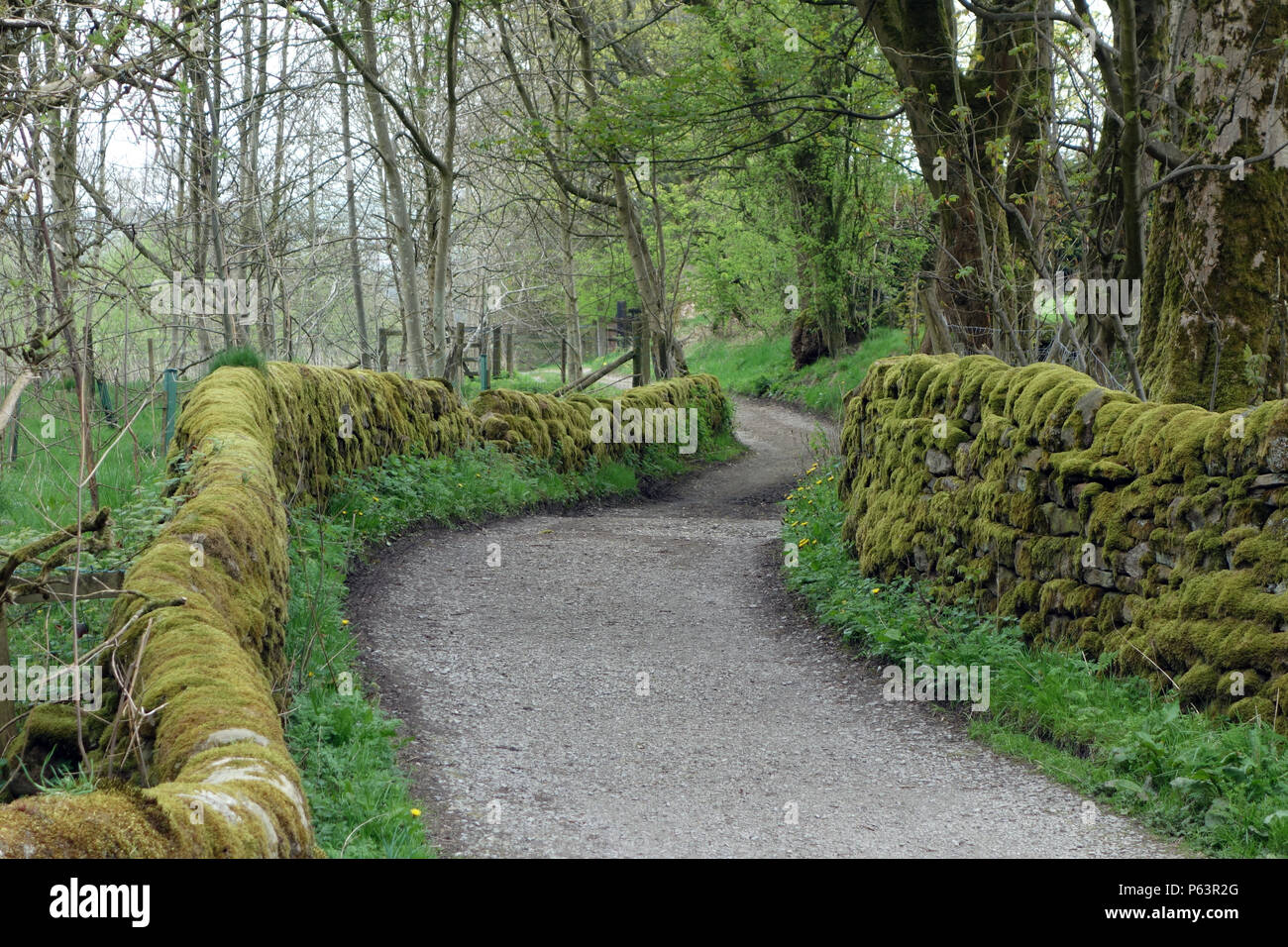 Country Lane on the Pendle Way Long Distance Footpath in the Village of Wycoller, Colne, Pendle, Lancashire, England, UK Stock Photo