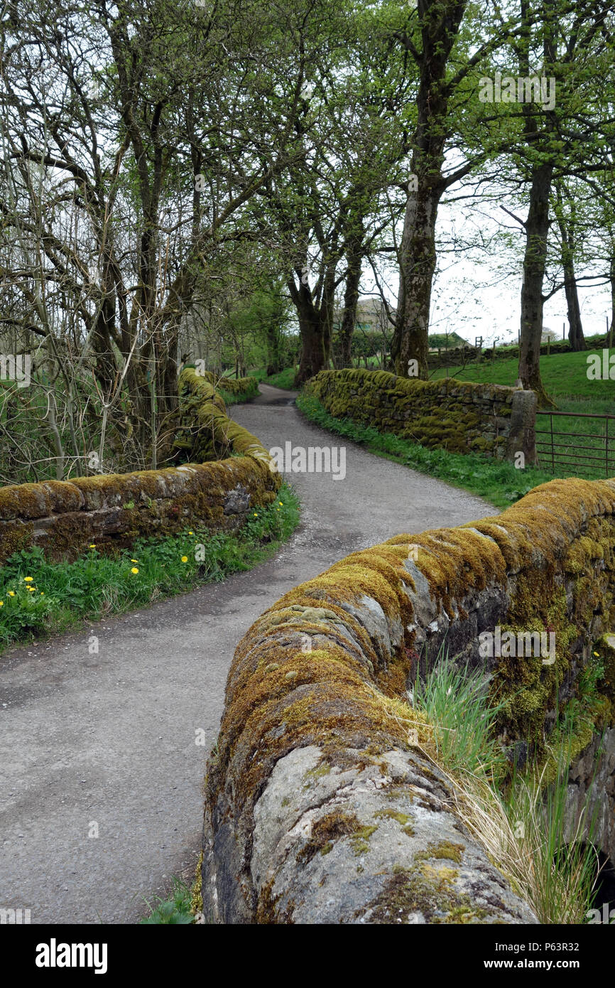 Country Lane on the Pendle Way Long Distance Footpath in the Village of Wycoller, Colne, Pendle, Lancashire, England, UK Stock Photo