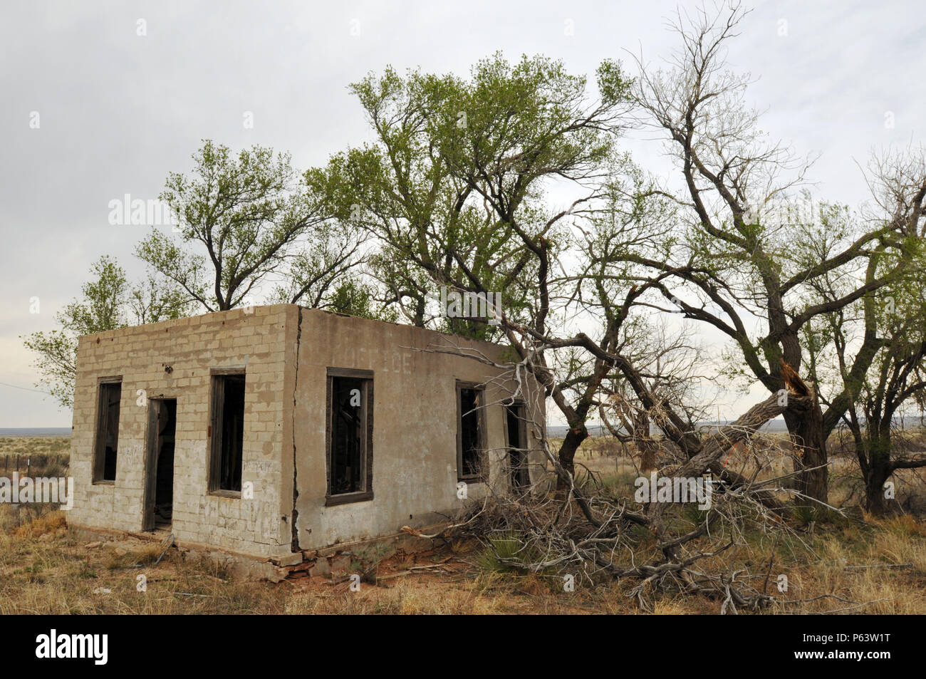 The former post office building stands surrounded by trees in the Route 66 ghost town of Glenrio on the Texas-New Mexico border. Stock Photo