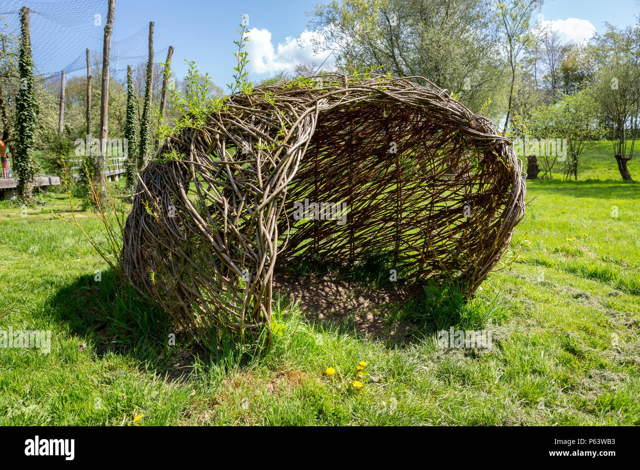 DIY building with nature: a living Willow hut. Stock Photo