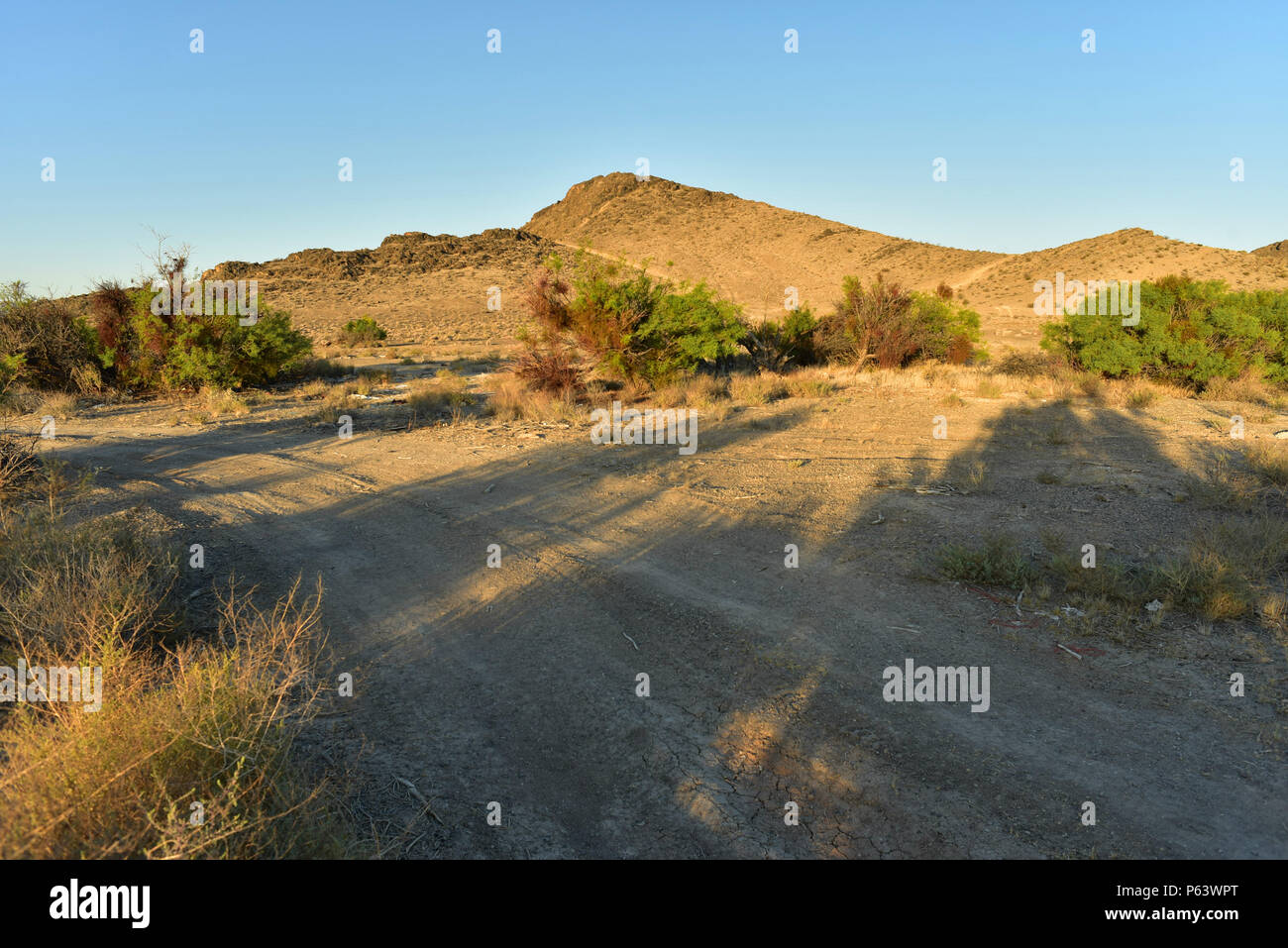 Mojave Desert landscape morning Pahrump, Nevada, USA Stock Photo - Alamy