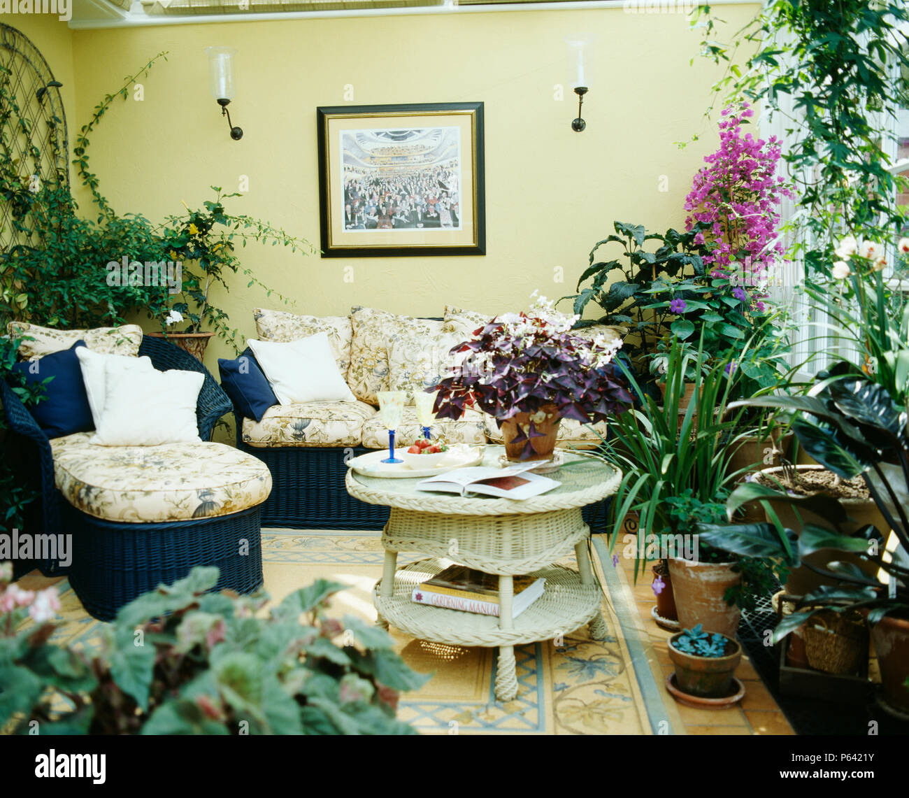 Lush Plant Living Rooms