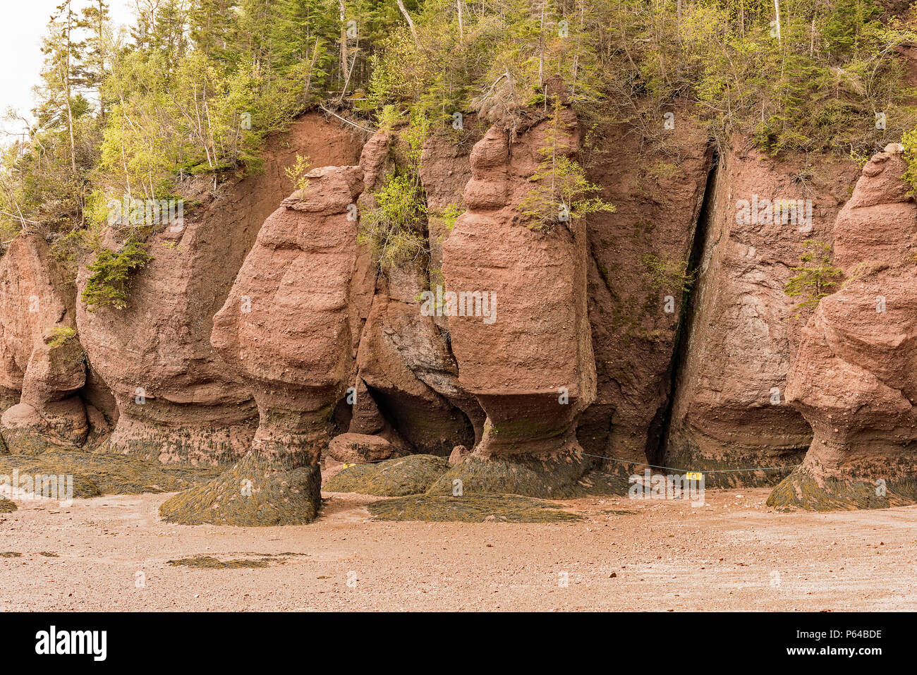 File:Bay of Fundy rock formations.jpg - Wikipedia