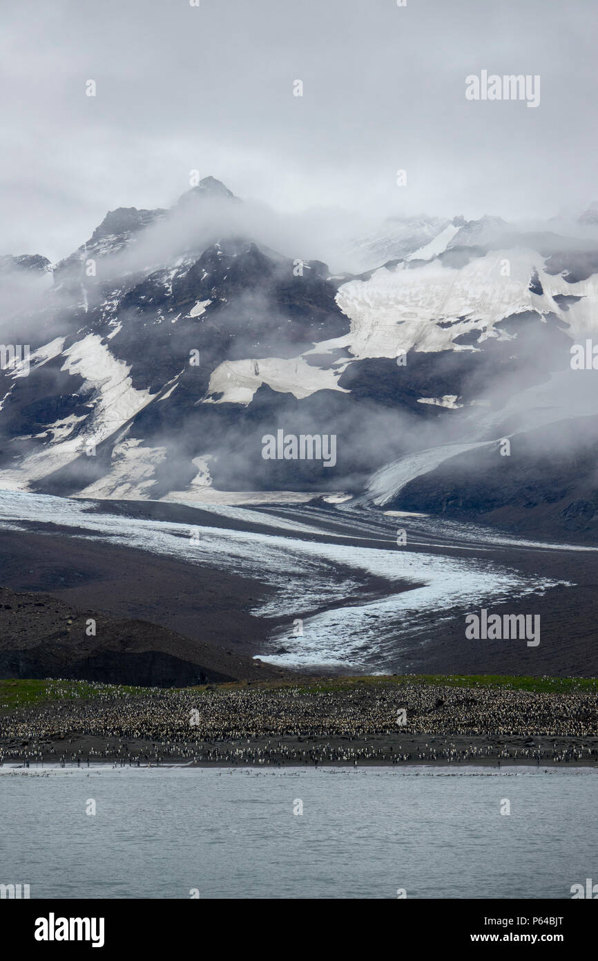 Overcast conditions at St Andrew's Bay, South Georgia Island Stock Photo