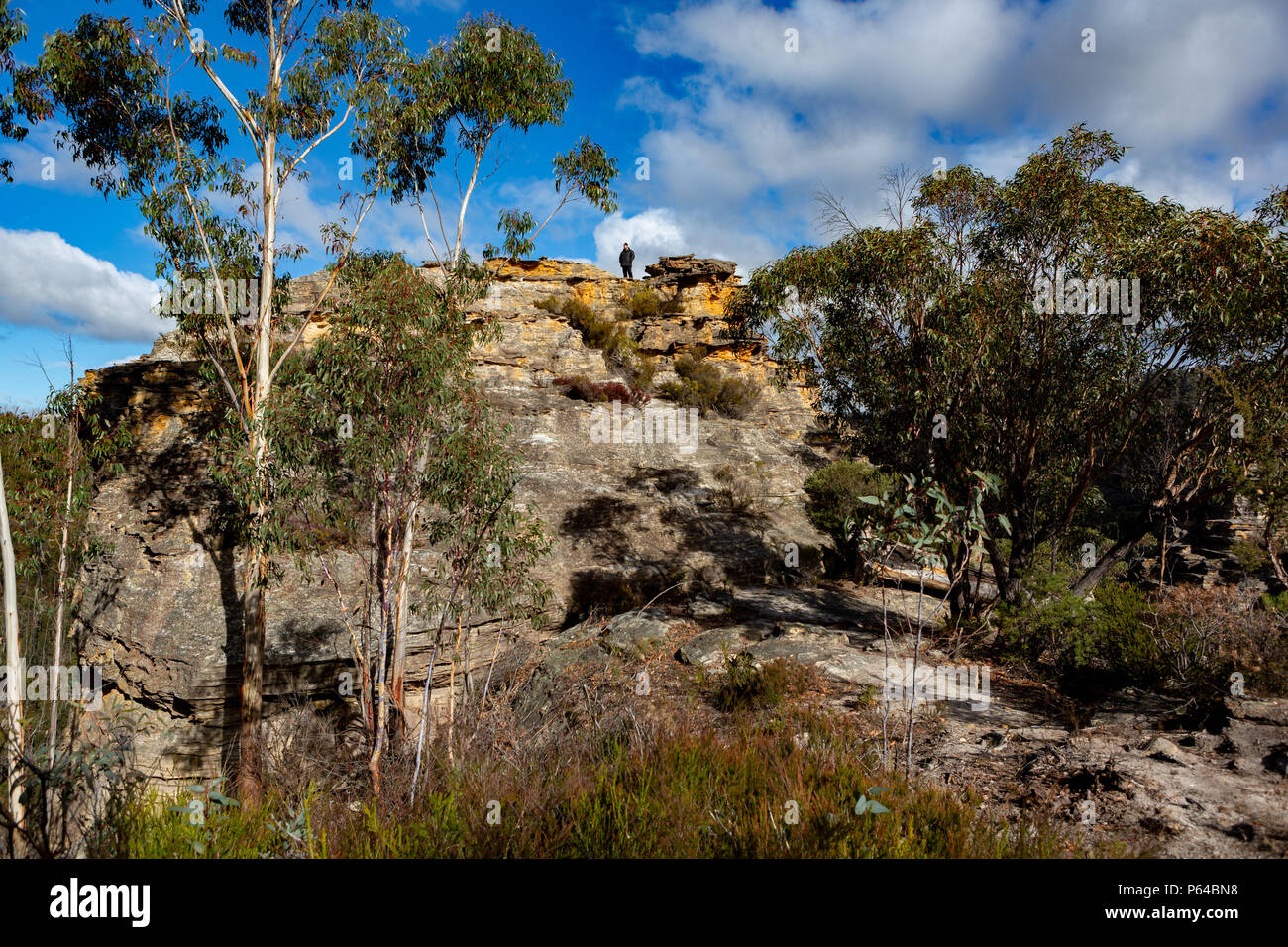 Aussie blue mountains hi-res stock photography and images - Alamy
