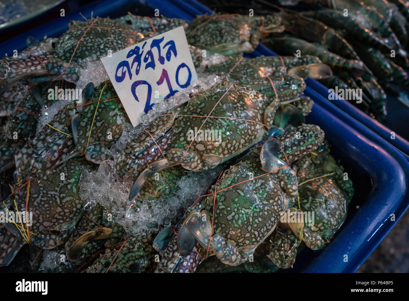 Blue Crabs for sale at Klongsan Plaza Market – Bangkok, Thailand Stock Photo