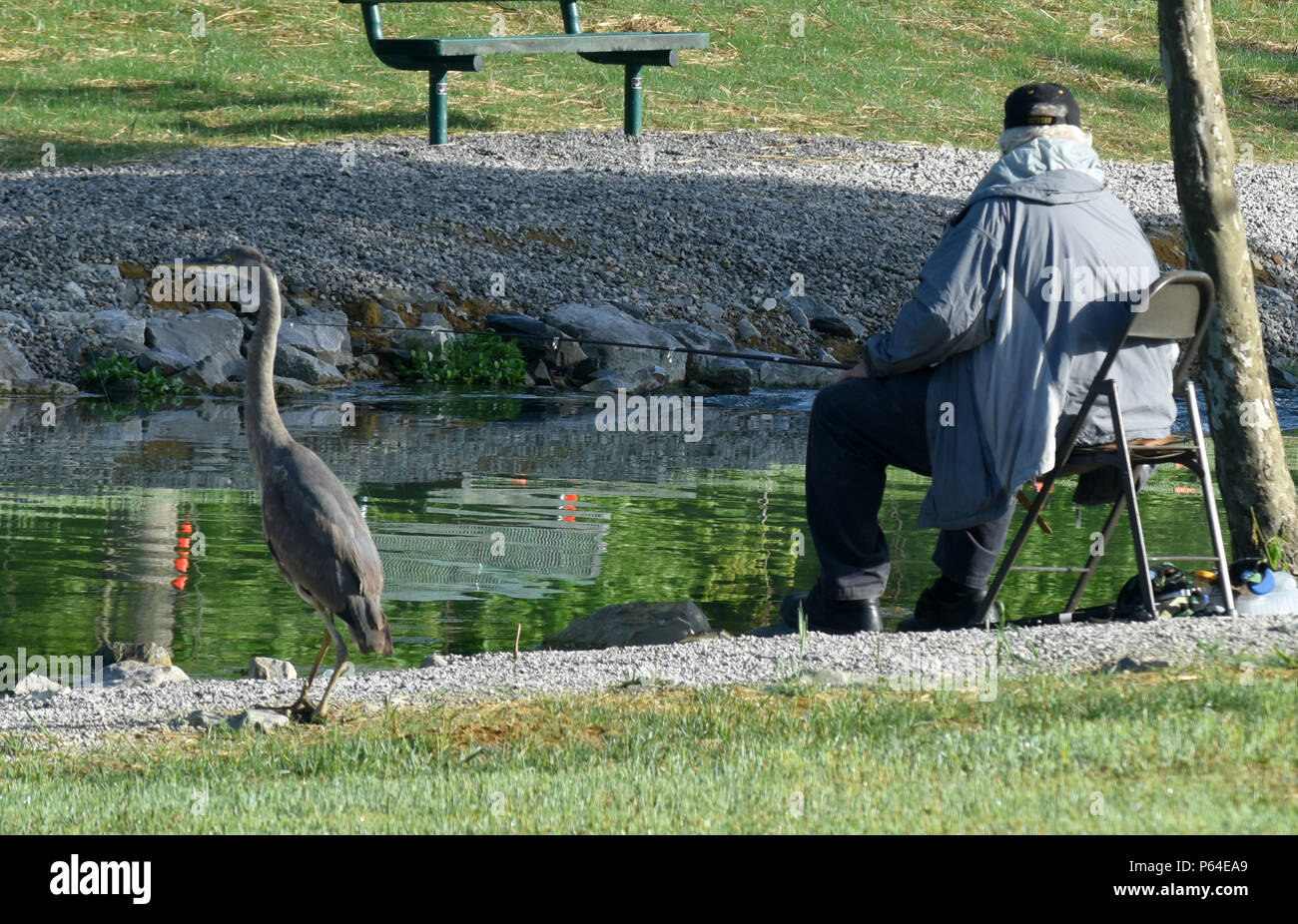 Cleveland dam fish hatchery hires stock photography and images Alamy