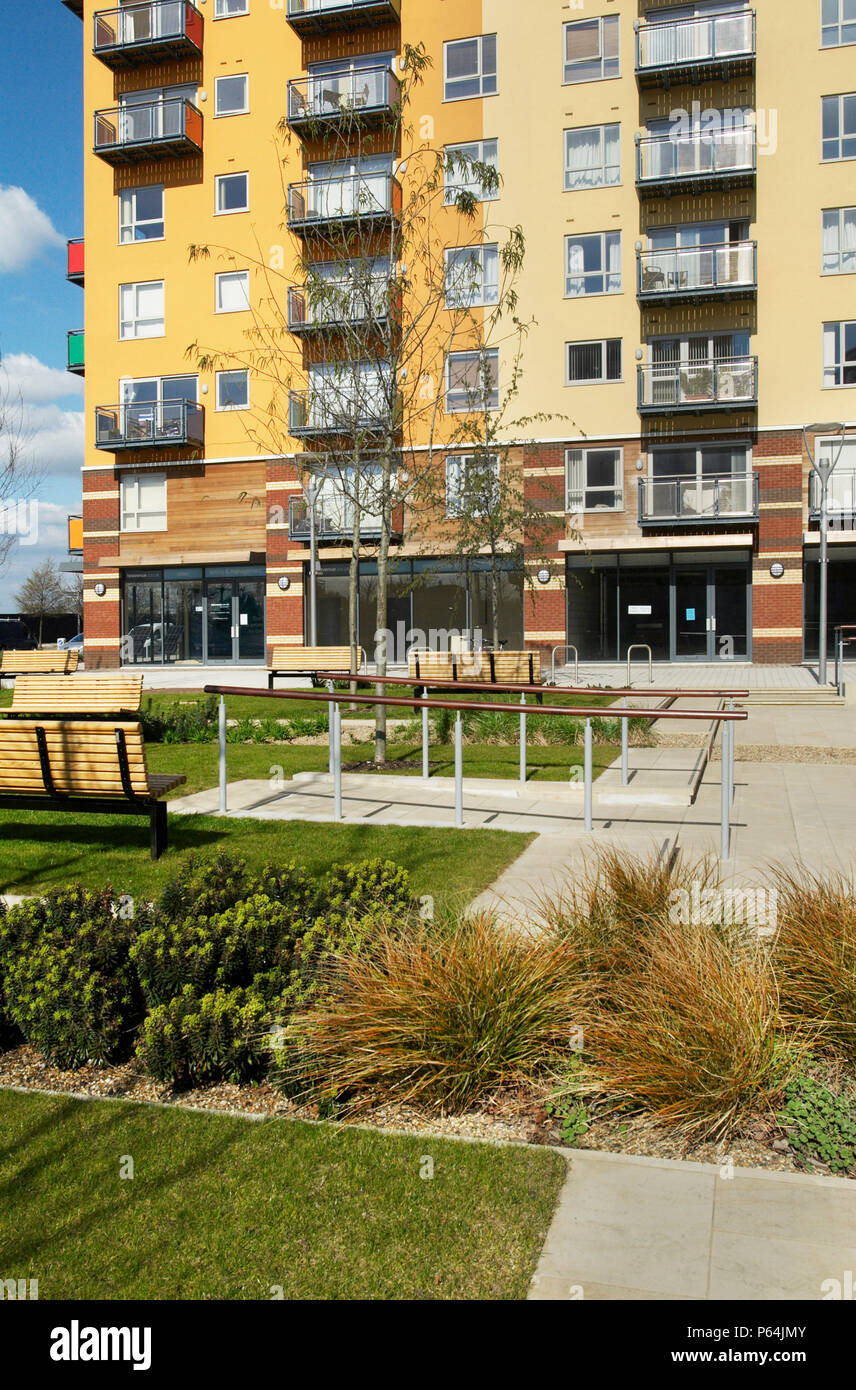 Landscaping outside apartments in Greenwich Millennium Village, South