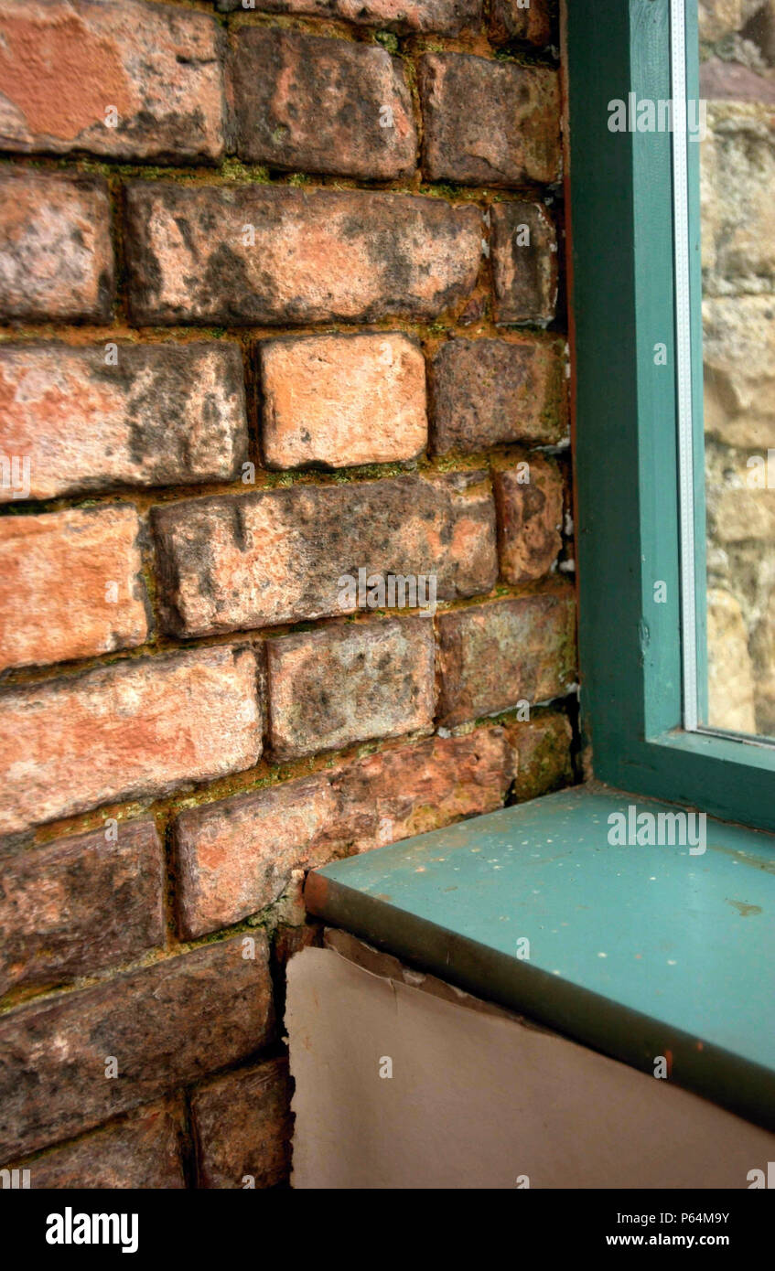 Window sill, detail. Stock Photo