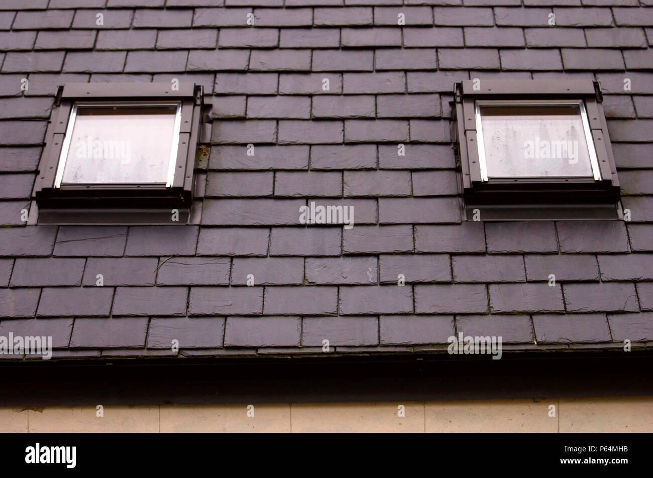 Velux windows on a slate roof Stock Photo