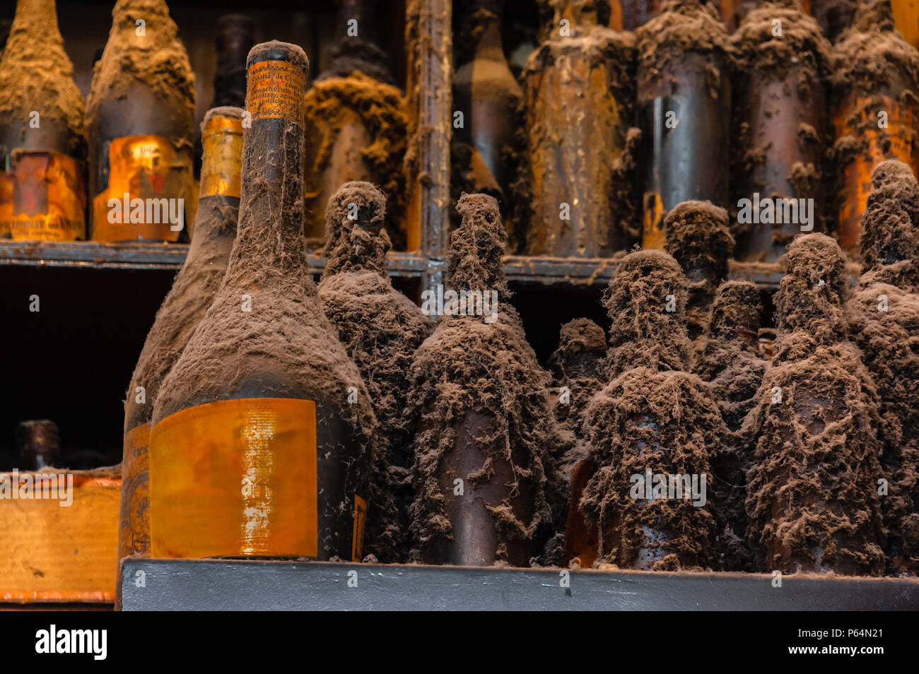 Collection of AgedOld Bottles. Display of very old bottles left on the
