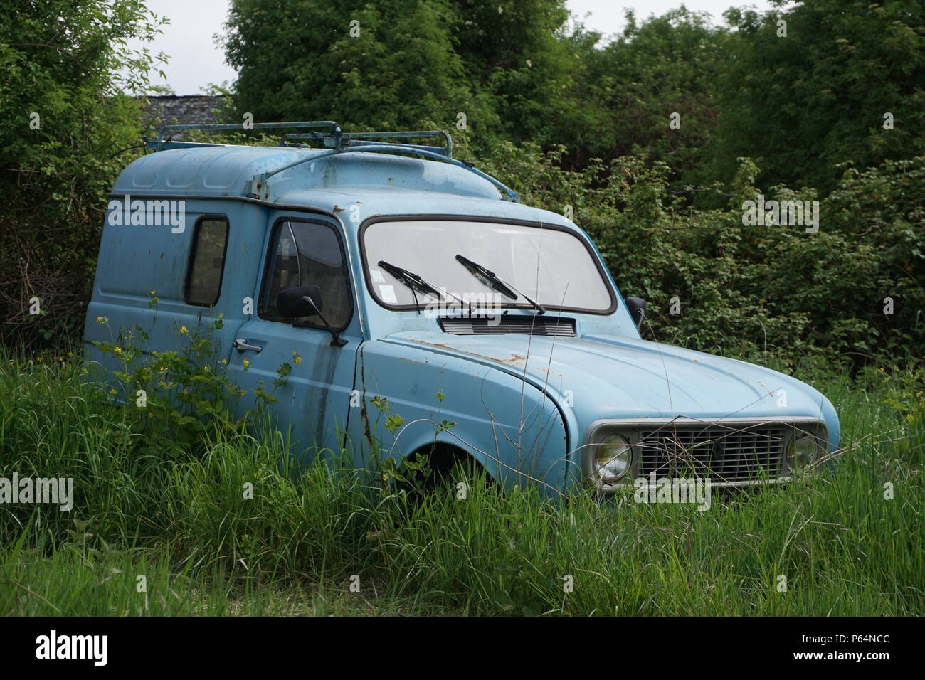 Old destroyed and abandoned Renault 4L in the meadow Stock Photo