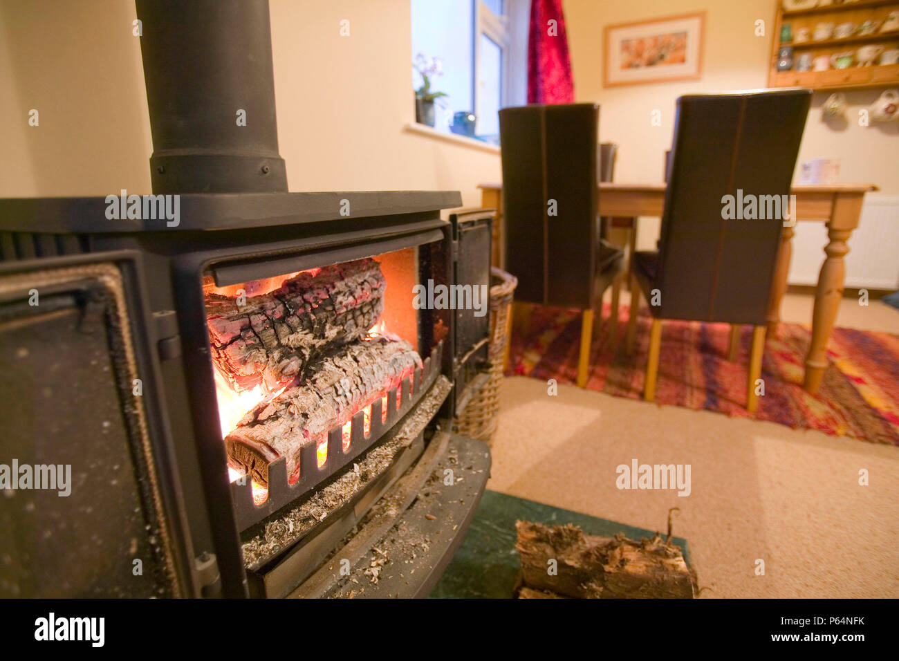 Using a log burning stove to heat a house is burning renewable fuel and therefore C02 neutral