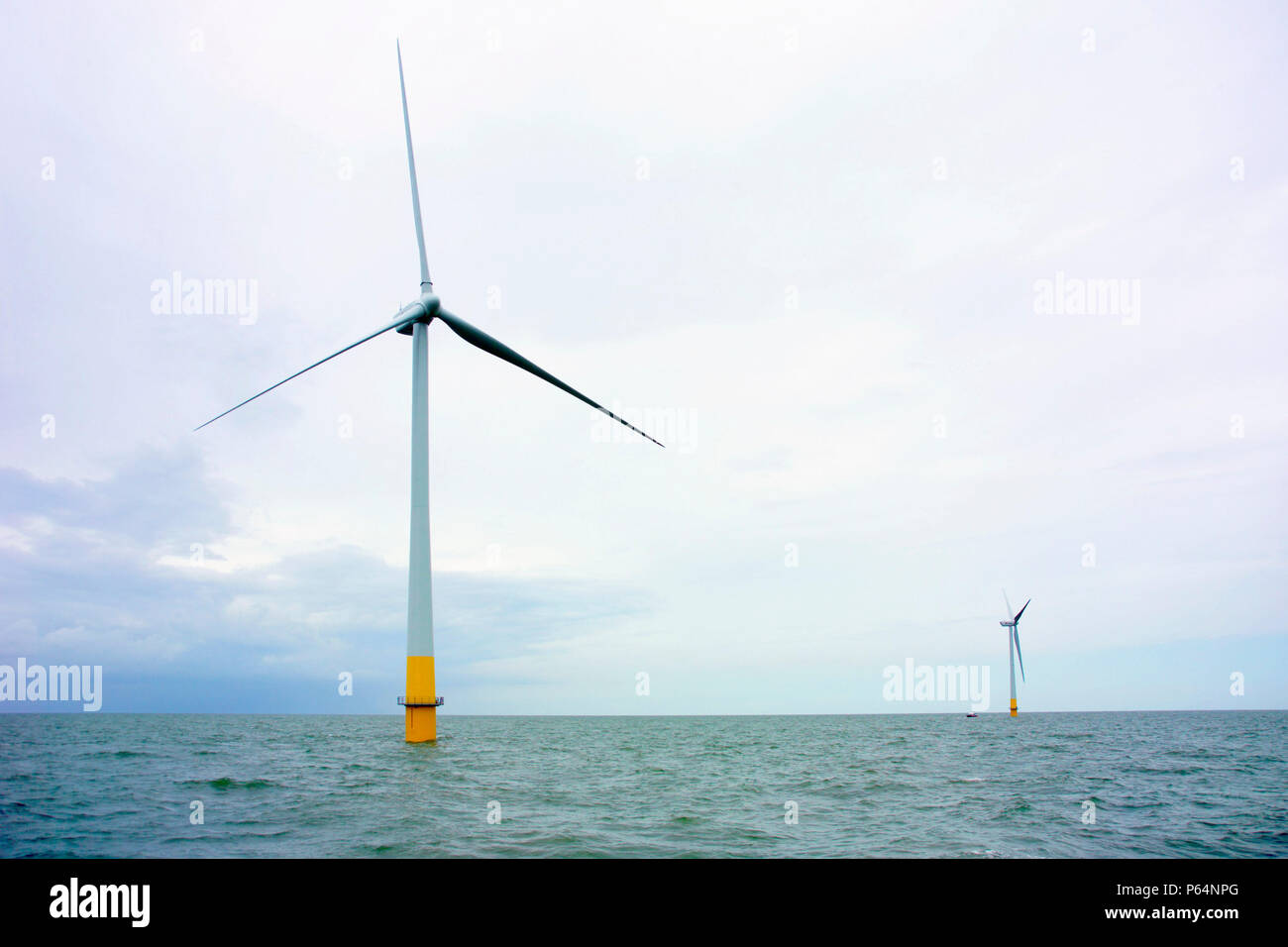 Kentish flats windfarm off whitstable kent in the thames estuary Stock