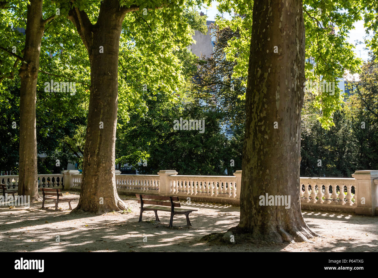 Jardin Darcy Dijon Cote-d'Or  Bourgogne-Franche-Comte France Stock Photo