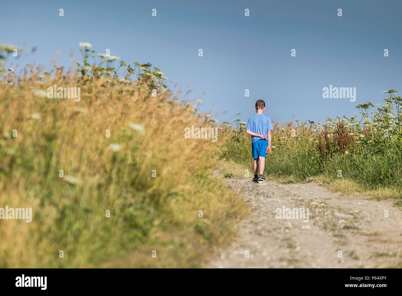 A young boy walking alone along a track in a field. Stock Photo