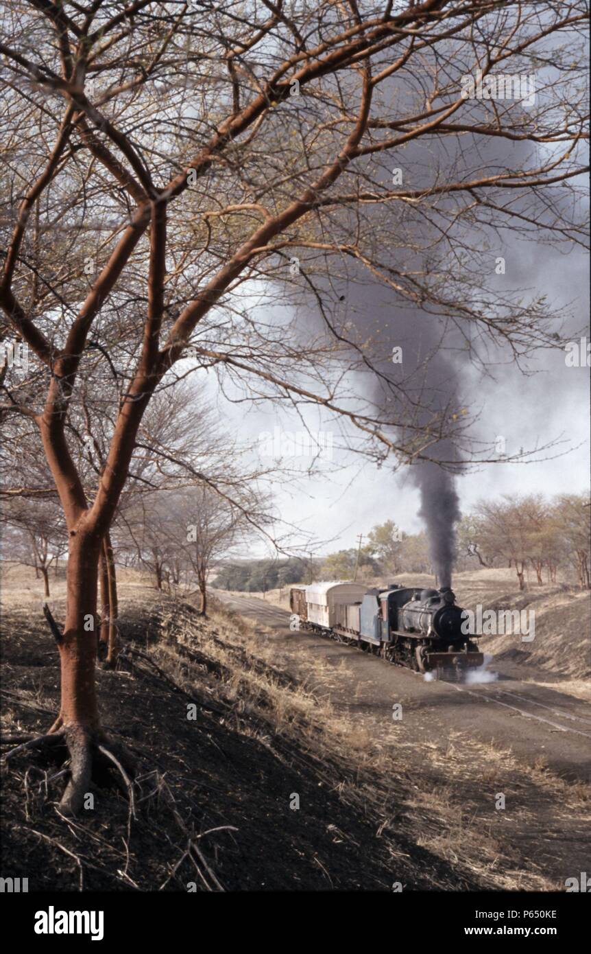 2-8-2 No. 306 heads a Damazeen -  Sennar Junction train near Singa on Saturday 15th January 1983. Stock Photo