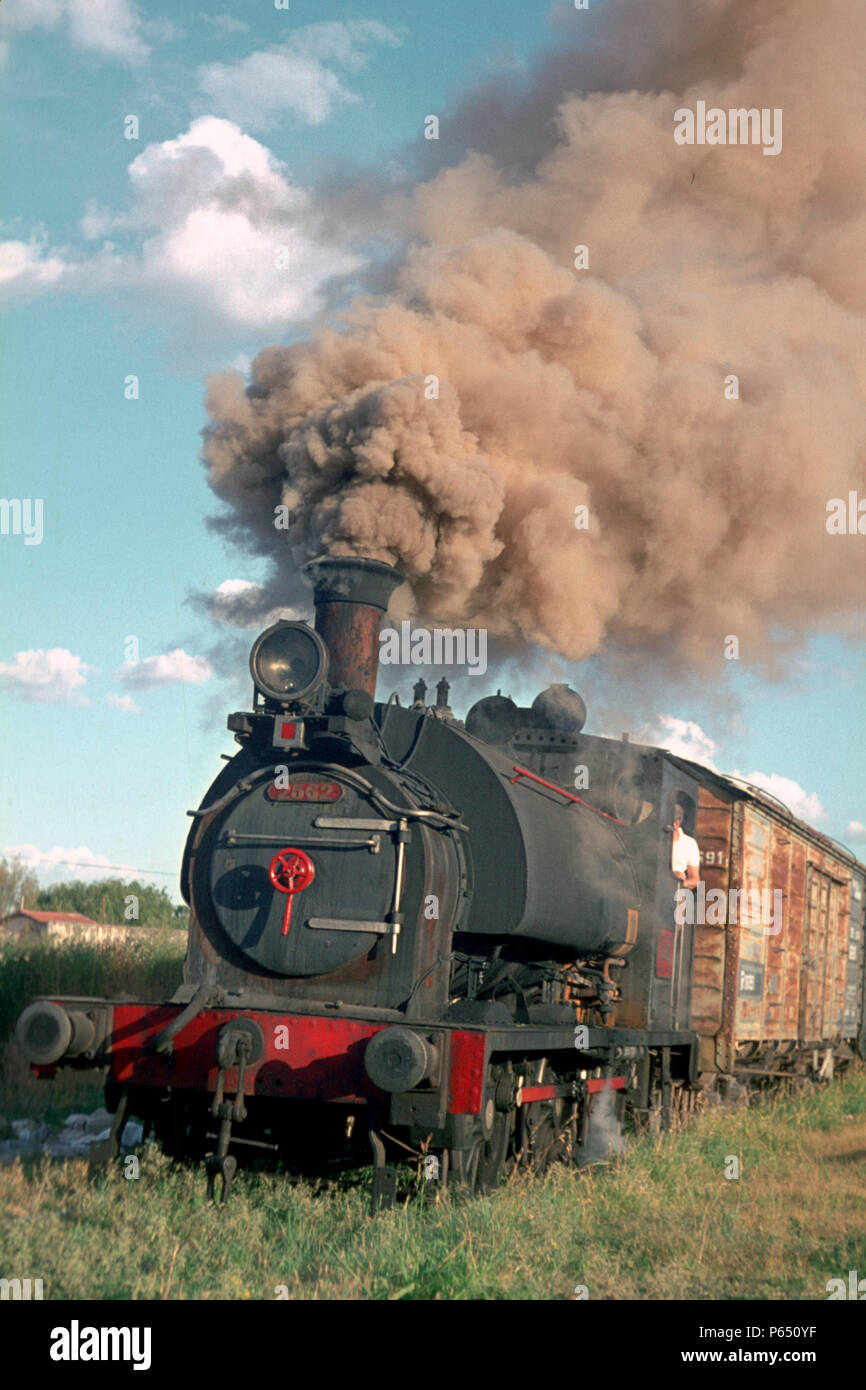 A classic British built Saddle Tank shunts in  the sunlight at Bahia Blanca on Argentina's Atlantic Coast. The engine was built by Kerr Stuart of Stok Stock Photo