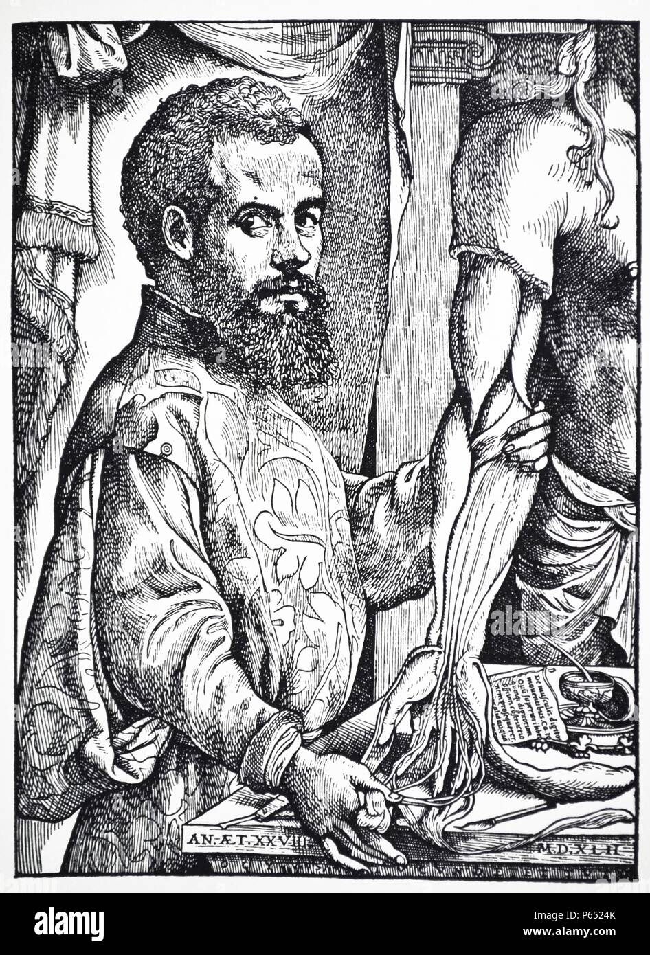 Portrait of the anatomist, Andreas Vesalius, (1514-1564) Stock Photo